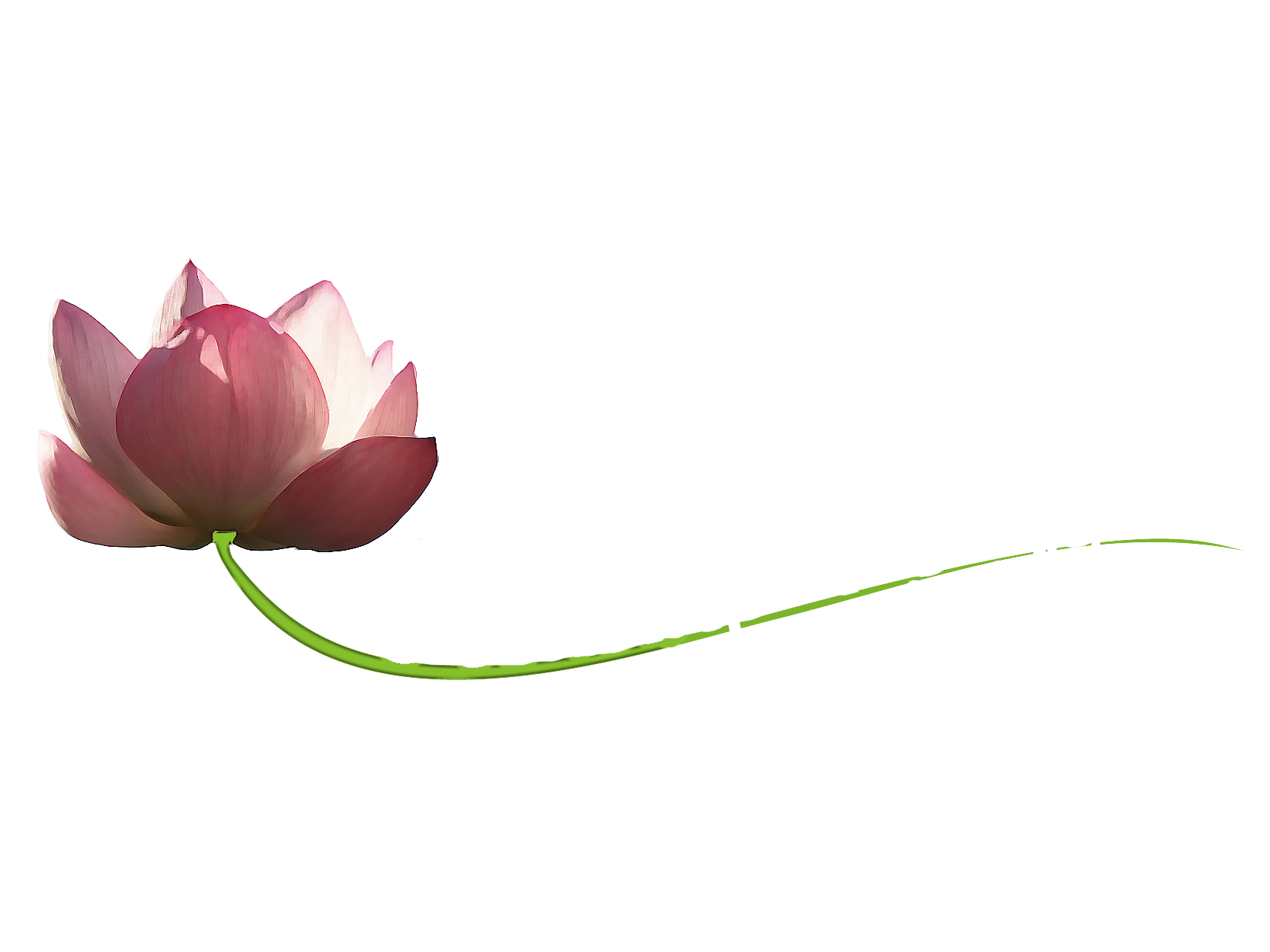 cours-de-meditation-et-yoga